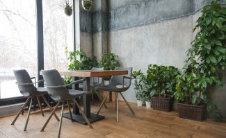 Cafe Interior With Green Decor